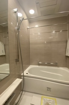 ミレアコート銀座プレミア 