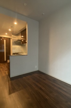 ミレアコート銀座プレミア 