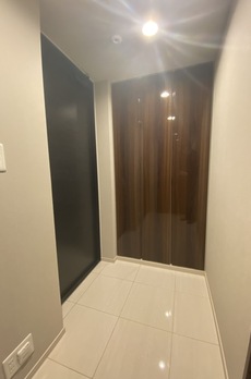 ミレアコート銀座プレミア 