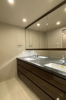 ミレアコート銀座プレミア 