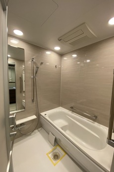 ミレアコート銀座プレミア 