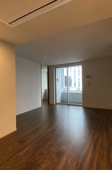 ミレアコート銀座プレミア 