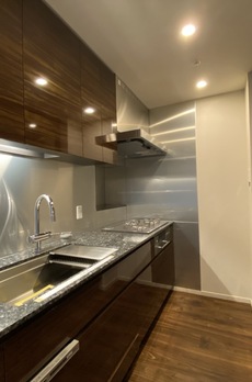 ミレアコート銀座プレミア 