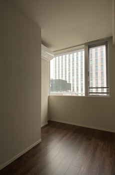 ミレアコート銀座プレミア 