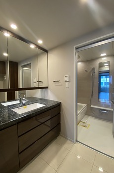 ミレアコート銀座プレミア 