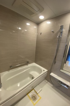 ミレアコート銀座プレミア 