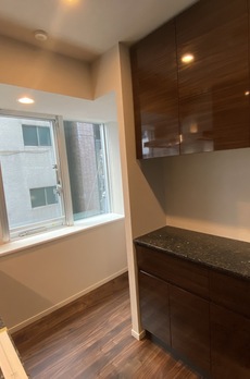 ミレアコート銀座プレミア 