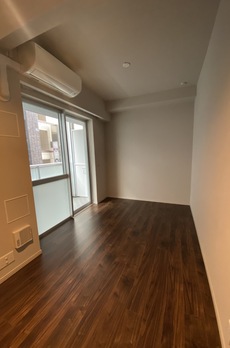 ミレアコート銀座プレミア 