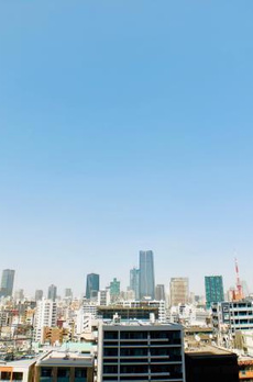 白金ザ・スカイ東棟 