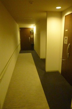 パークフラッツ銀座イースト 