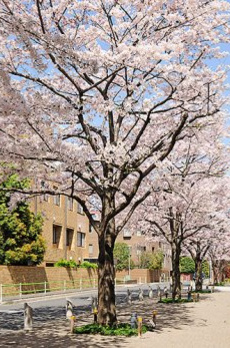 元麻布ヒルズフォレストタワー 