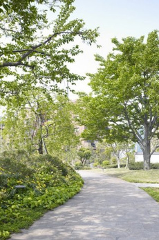 元麻布ヒルズフォレストタワー 