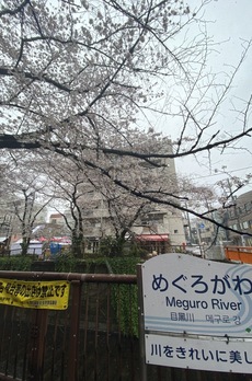 細井マンション 