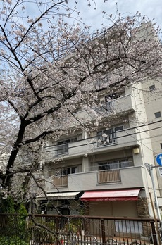 細井マンション 