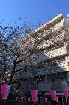 細井マンション 