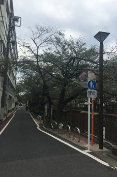 細井マンション 