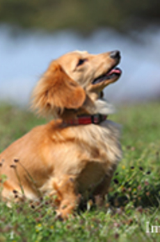 六本木グランドタワーレジデンス 