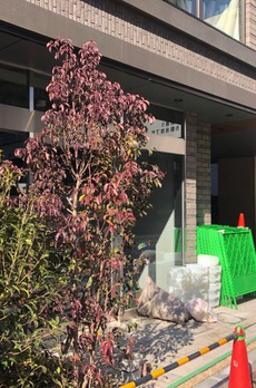 ラテスト白金台 