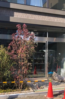 ラテスト白金台 