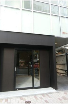 銀座apolloビル 