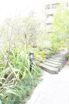 豊洲シエルタワー 