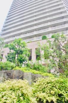 豊洲シエルタワー 