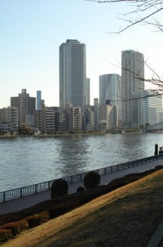 銀座レジデンス伍番館 