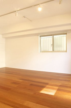 ライオンズマンション新富町 