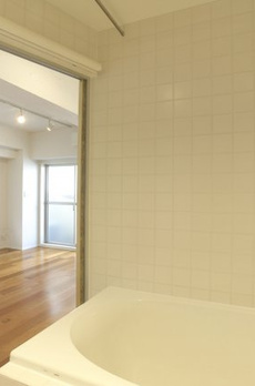ライオンズマンション新富町 