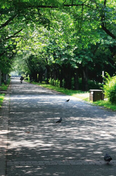 パークアクシス辰巳ステージ 