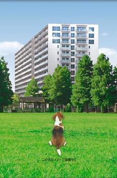 パークアクシス辰巳ステージ 