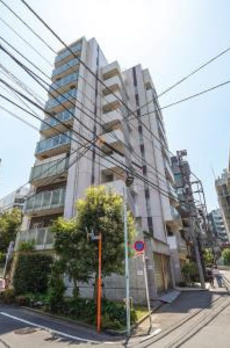 ROPPONGI SEVEN 
