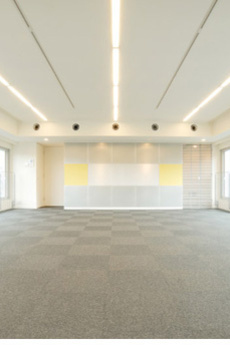 DUPLEX GINZA TOWER 8/14 