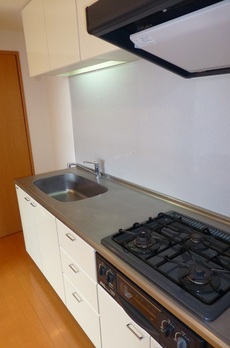 レジディア島津山 