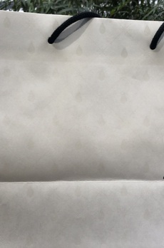 プラウド銀座一丁目 食パン『銀座に志かわ』1分