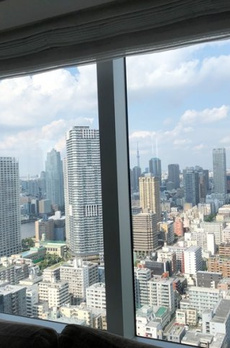 THE TOKYO TOWERS SEA TOWER 