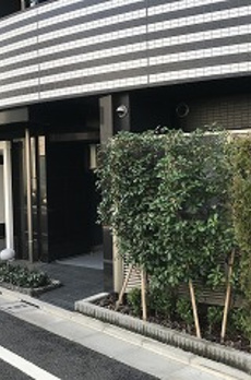 SYFORME DEN-EN-CHOFU-MINAMI Asyl Court 