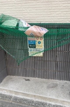レオネクストユースタイル 