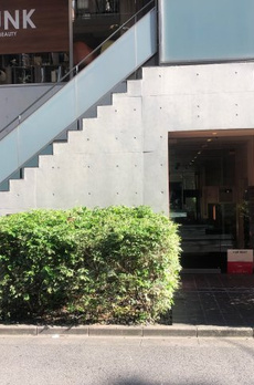 apollo apartment 