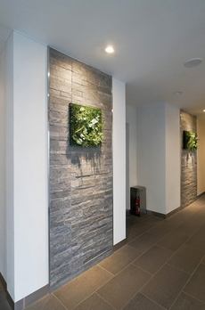 ガルデニア蔵前 