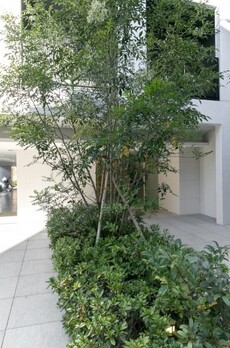 パークサイド湯島台 