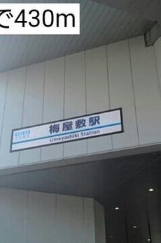 ＭＳＧ 