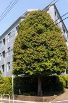 外苑レジデンス 