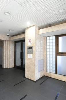 スカイノブレ川崎柳町 