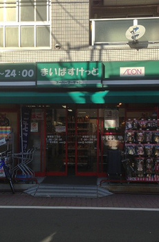 ステージグランデ蒲田アジールコート 