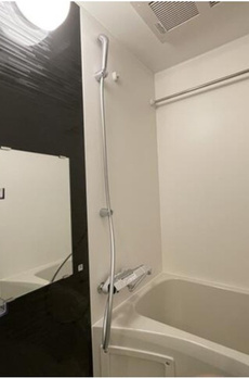trias211 