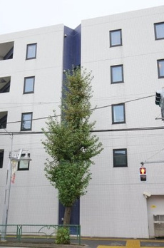 ＢＬＥＳＳ　ＳＥＴＡＧＡＹＡ 