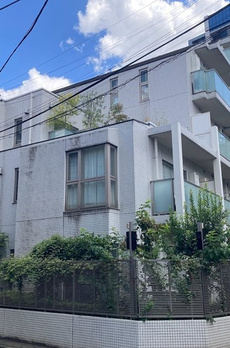 Ｇｒａｃｅ　Ｃｏｕｒｔ　Ｓｈｉｒｏｋａｎｅ 