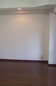 トーシンフェニックス新橋弐番館 