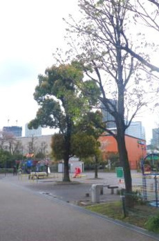 海水館 